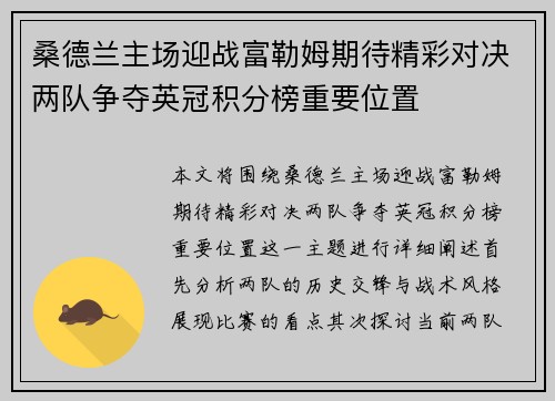桑德兰主场迎战富勒姆期待精彩对决两队争夺英冠积分榜重要位置